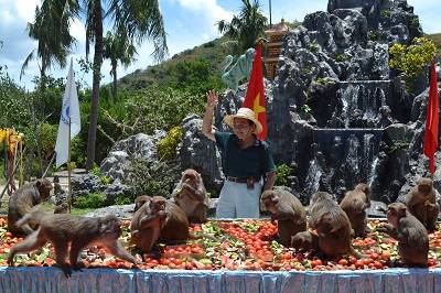 Sự kiện Lễ hội Hoa quả sơn hoành hoành tráng