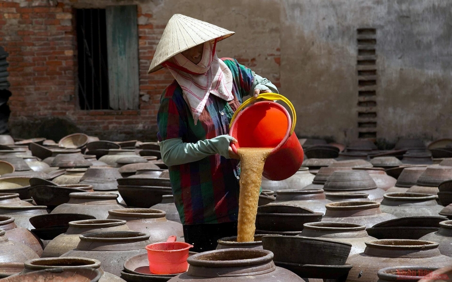 Đảo tương bần Yên Nhân dưới nắng