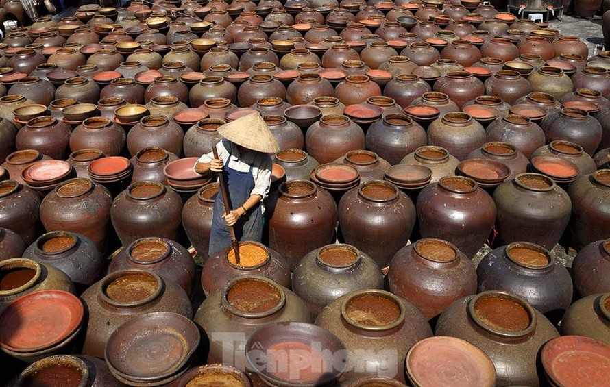 Phơi nắng tương bần. Ảnh: Báo Tiền phong.