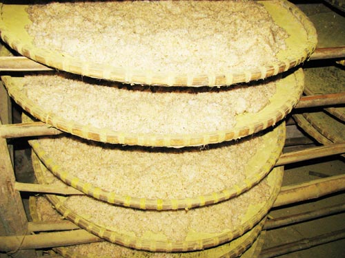 Ủ mốc. Ảnh: Báo Người Lao động.