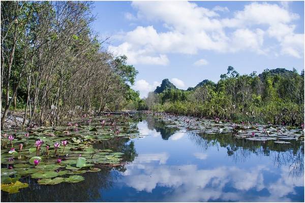Săn ảnh suối Yến mùa hoa súng nở