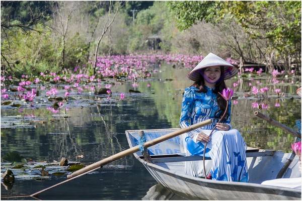 Thiếu nữ chụp ảnh cùng hoa súng trên suối Yến