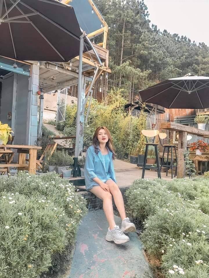 HIM Café - Tiệm cafe Đà Lạt ngập cúc họa mi