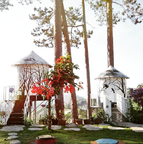 Tổ Chim Homestay điểm đến Đà Lạt