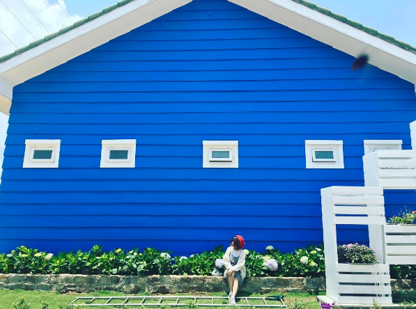 Check-in Vinamilk Organic Milk Farm Đà Lạt