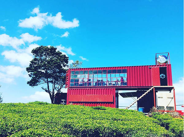 Quán cà phê container đồi chè Cầu Đất Đà Lạt