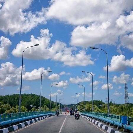 Đầm Dơi tại khu du lịch Vàm Sát Cần Giờ