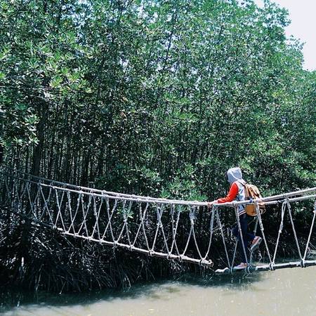 Đường đi đến khu du lịch Vàm Sát