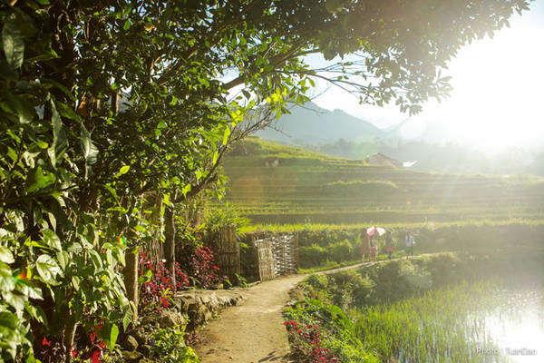 Vẫn có một Tả Van đáng yêu giữa Sapa ‘thảm họa’