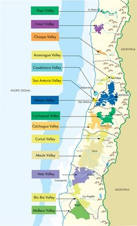 Đặc sản vang Chile từ Maule