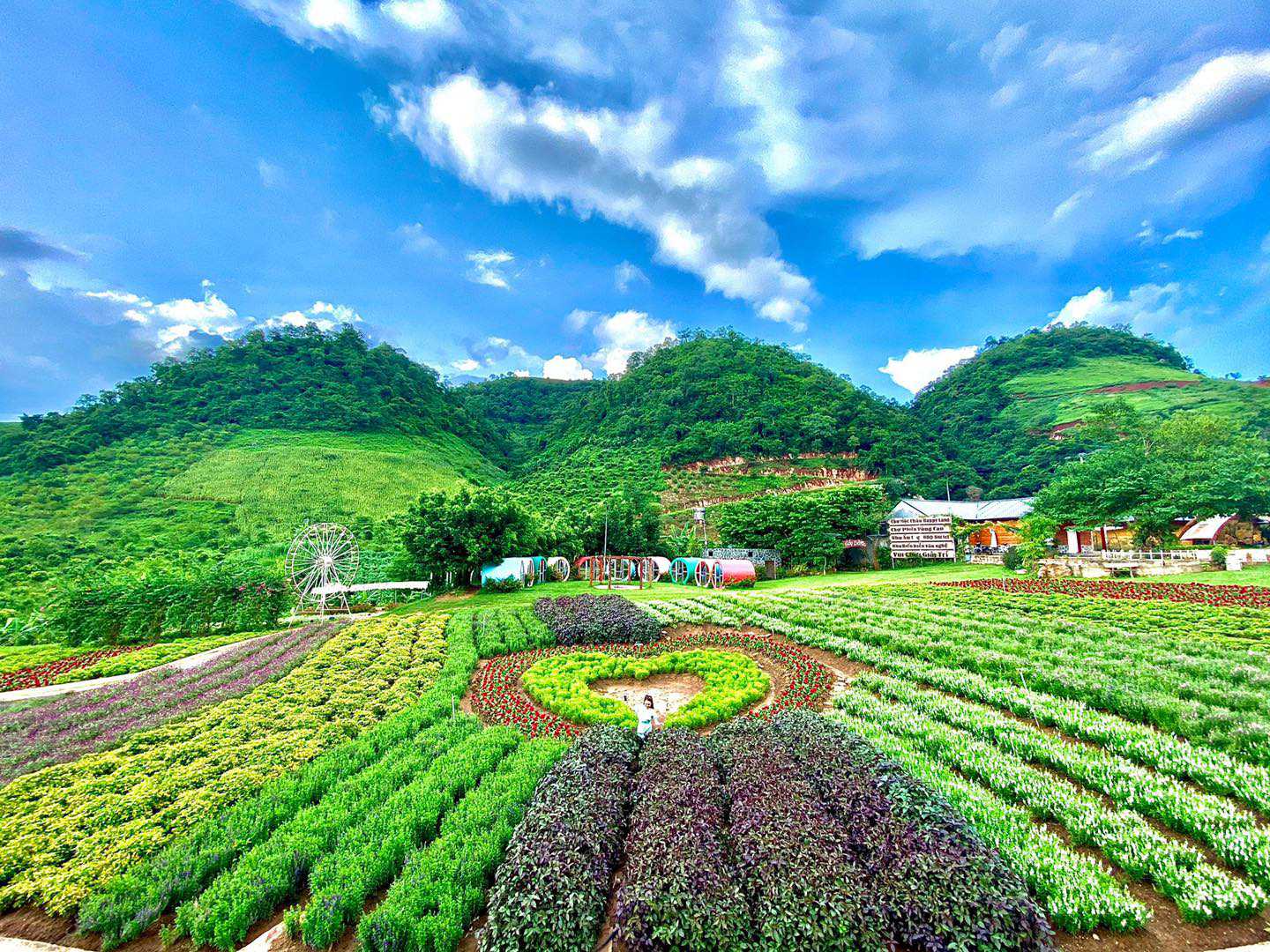 Vườn hoa Happy Land