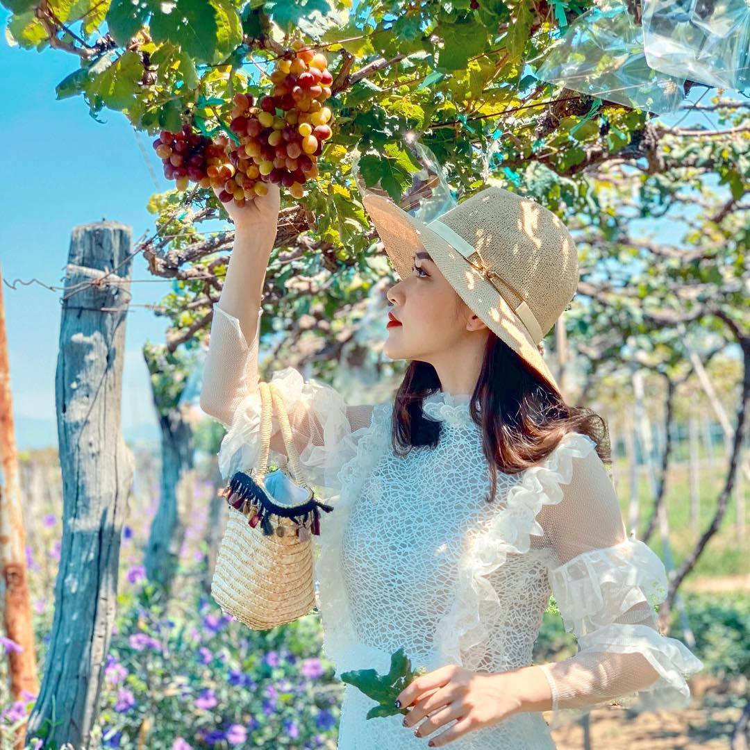 Nông trại nho Ba Mọi Ninh Thuận nổi tiếng