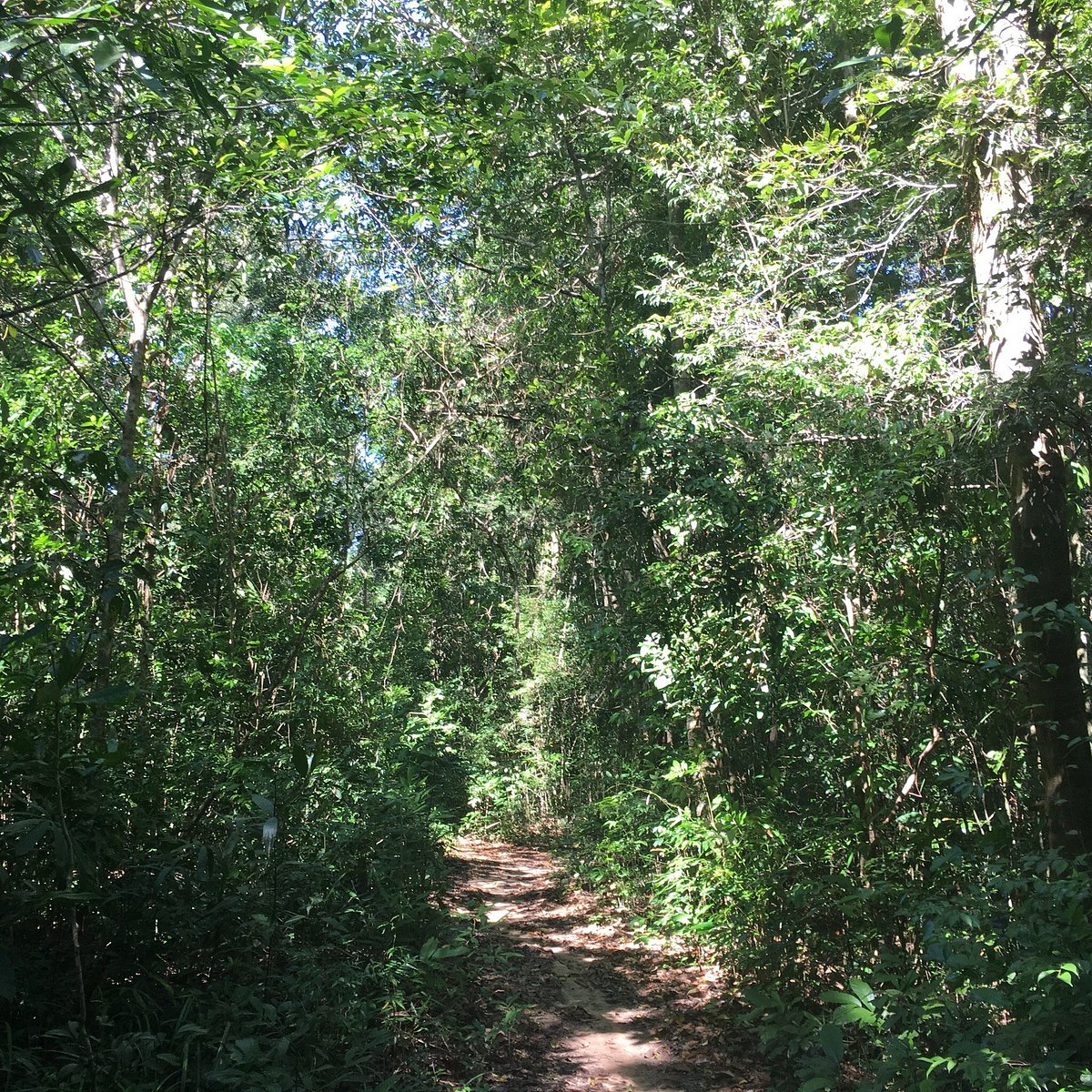 Chuẩn bị trang phục cho trekking Vườn quốc gia Phú Quốc