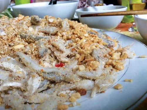 Du lịch Đà Nẵng thưởng thức gỏi cá Nam Ô