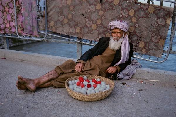 Nghề bán trứng dạo đặc trưng trong ẩm thực đường phố Afghanistan