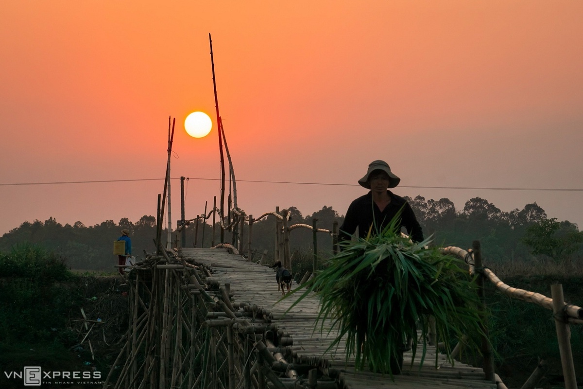Hoàng hôn huyền ảo trên cầu tre Cẩm Đồng làng quê Quảng Nam