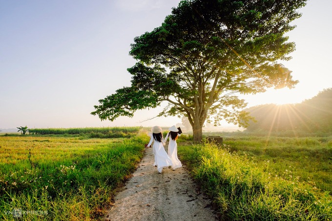 Con đường đất yên bình chạy qua ruộng lúa làng Hà Cảng