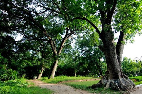 Từ đỉnh cột cờ thành cổ Sơn Tây chiêm ngưỡng toàn cảnh thiên nhiên