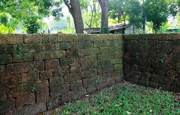 Thành cổ Sơn Tây vào đầu xuân với sắc hoa rực rỡ