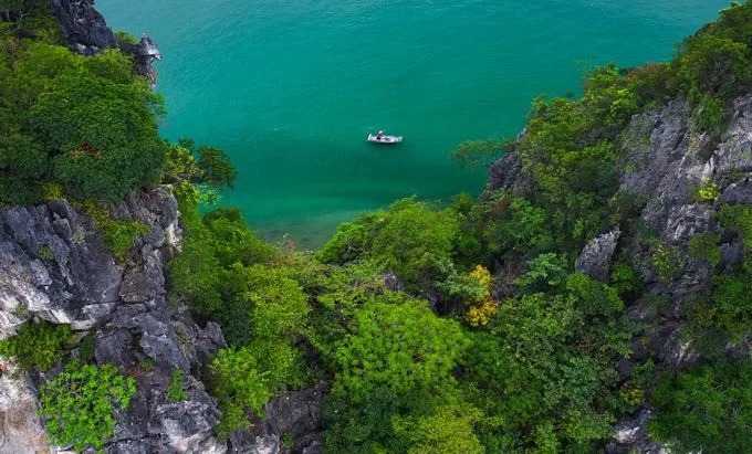 Vẻ đẹp vịnh Hạ Long với thảm thực vật trên vách đá
