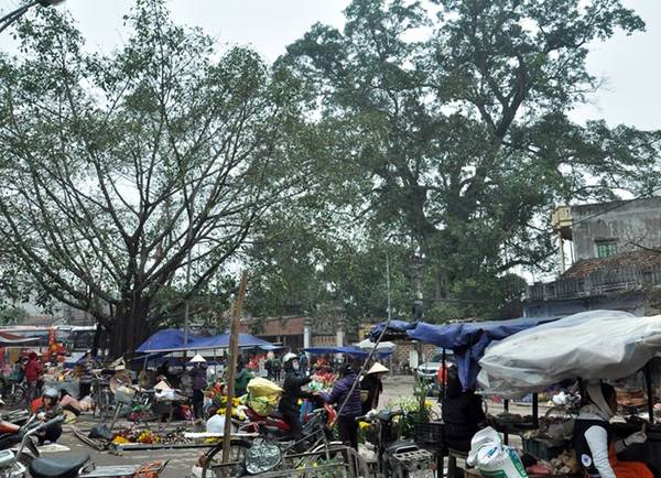 Họp chợ quê trước cổng chùa Mía làng cổ Đường Lâm