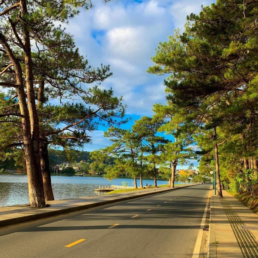 Một góc Đà Lạt. Ảnh: @tuanhoangns