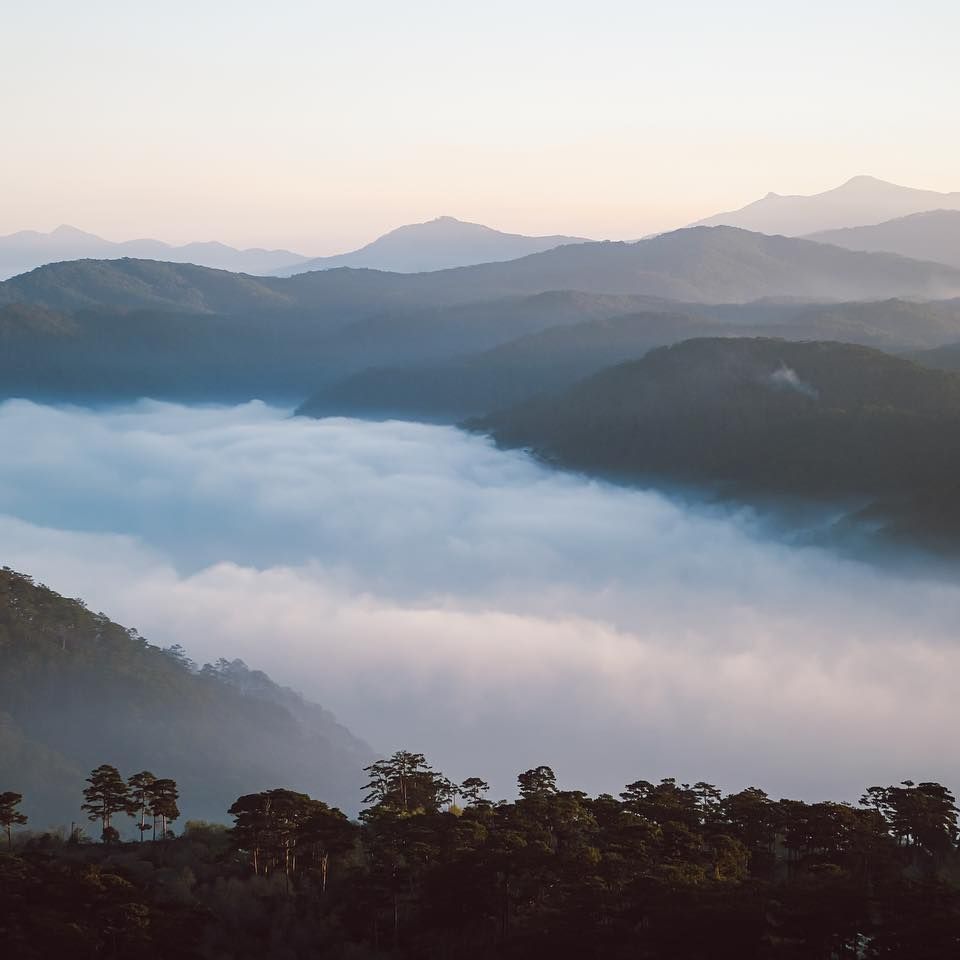 Săn mây Đà Lạt. Ảnh: @kohath.jpeg