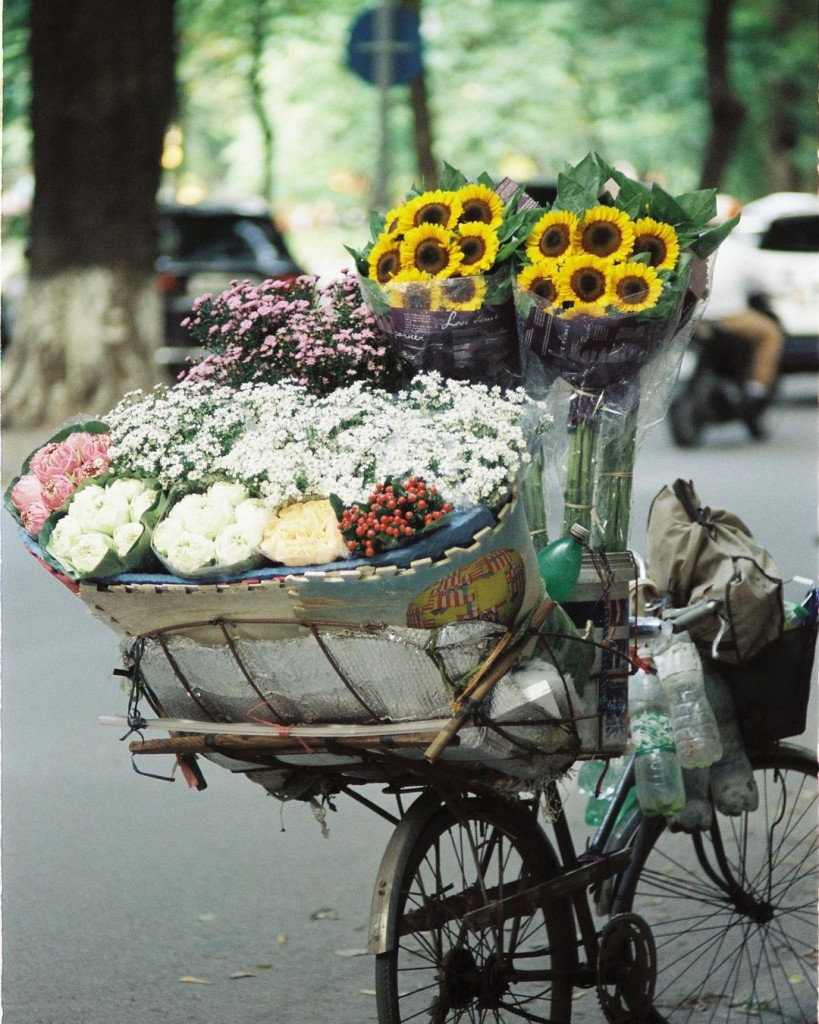 Nồng nàn mùa thu Hà Nội. Ảnh: @ikato17