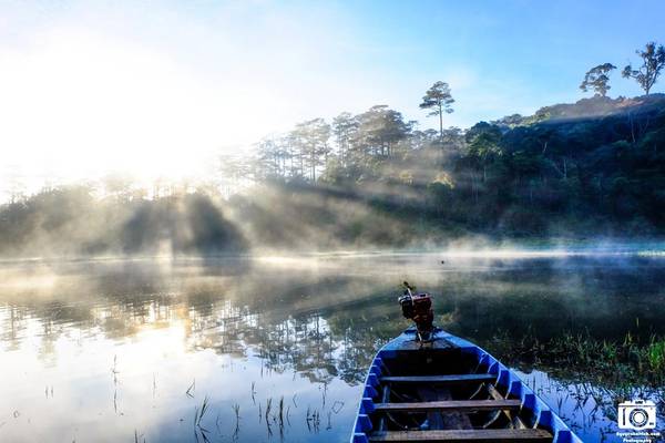 Vẻ mê hoặc của hồ Tuyền Lâm Đà Lạt sáng sớm mùa đông