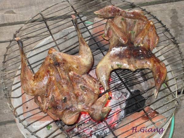 Du lịch miền Tây - Thịt cúm núm nướng
