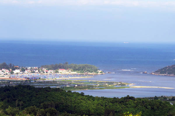 ​Về Mỹ Á ăn cá cơm