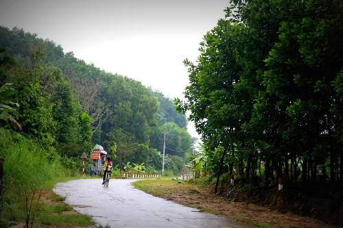 Đường dẫn vào những ngôi nhà cổ trong làng được bao phủ bởi những hàng cây xanh tít tắp.