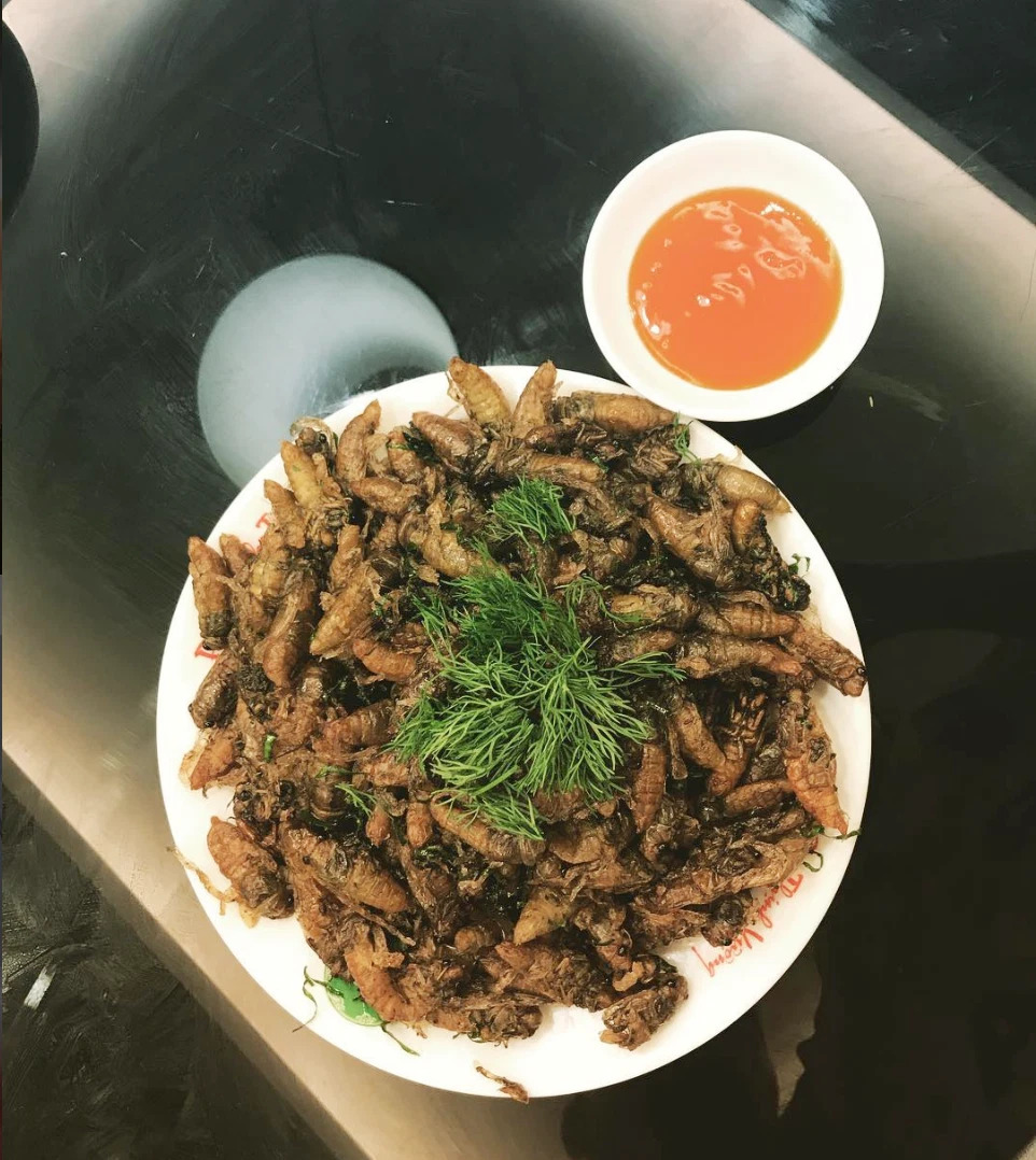Ve sầu rán đặc sản Lai Châu