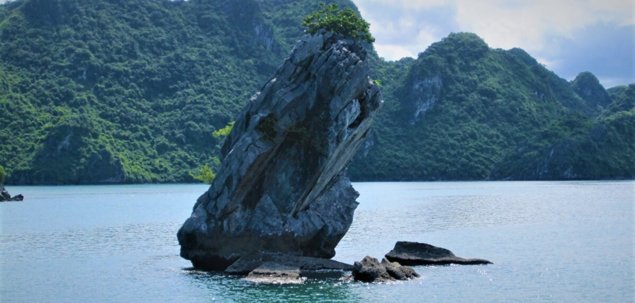 Hòn Con Cóc Vịnh Hạ Long