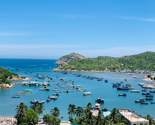 Ảnh: Ngô Bảo Trung