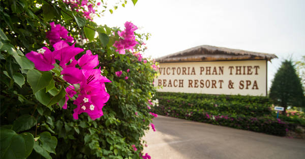 Nằm “ẩn mình” giữa thủ đô resort, Victoria Phan Thiết Beach Resort & Spa sẽ là điểm dừng chân lý tưởng cho gia đình bạn trong kì nghỉ sắp tới. 