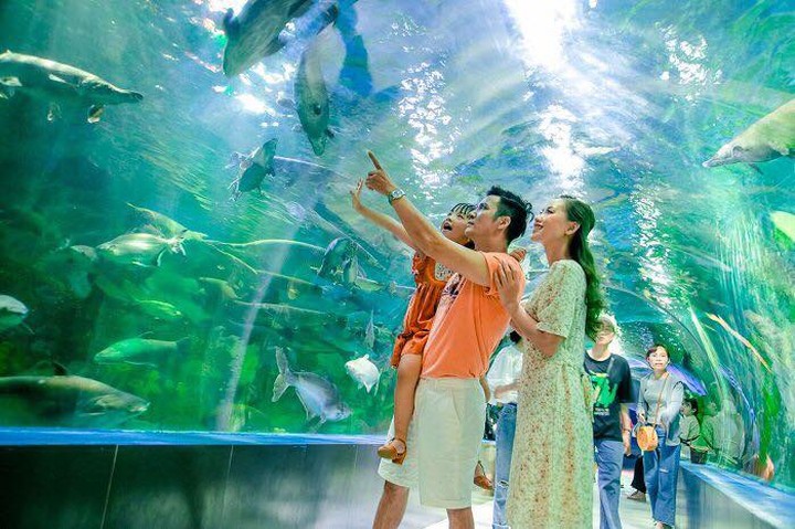 Bên trong Viện Hải dương học Nha Trang