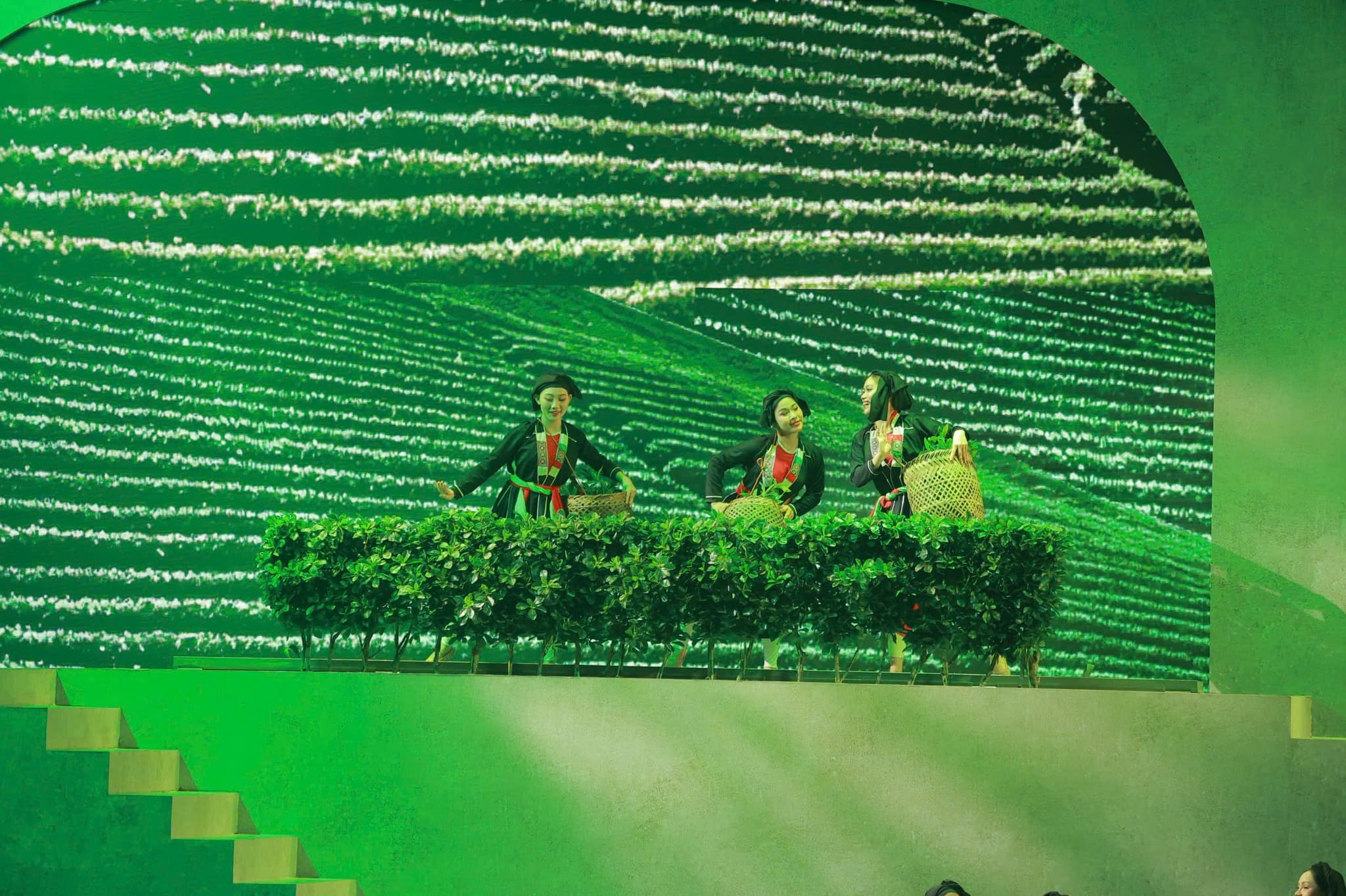 Thiếu nữ hái chè vùng cao trong show diễn
