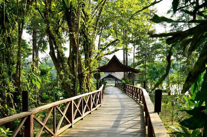 Sukau, Sabah, Malaysia  Nằm trong rừng mưa nhiệt đới ở bang Sabah, đảo Borneo, Sukau nằm giữa môi trường tự nhiên có nhiều loài vật lạ như đười ươi hoang, voi pygmy, khỉ vòi... Khu nghỉ dưỡng được xây dựng khéo léo nằm ẩn mình trong rừng, rất thích hợp với người yêu thiên nhiên hoang dã.