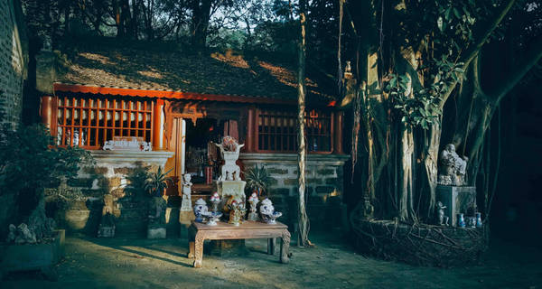 Hội trường và nhà Lò Mạc Hương tại Việt Phủ Thành Chương với bàn ghế cổ và cây phượng vĩ.