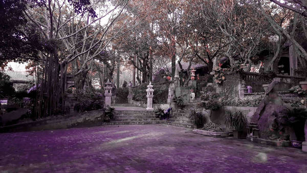 Tháng 5, Lò Mạc Hương càng đẹp lộng lẫy hơn vì được tô điểm bởi màu đỏ rực rỡ của hoa phượng. Liền ngay đó là nếp nhà Đại Khoa với những bộ bàn ghế đơn sơ mộc mạc.