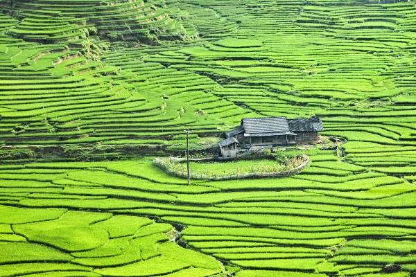Sapa - một trong những điểm đến tươi đẹp nhất Việt Nam.