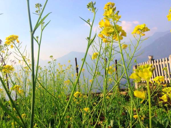 Ảnh: VietTrekking Homestay