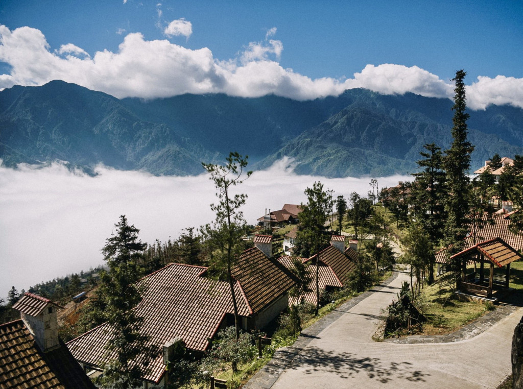 Toàn cảnh Ville De Mont Sapa giữa rừng samu Toàn cảnh Ville De Mont Sapa giữa rừng samu