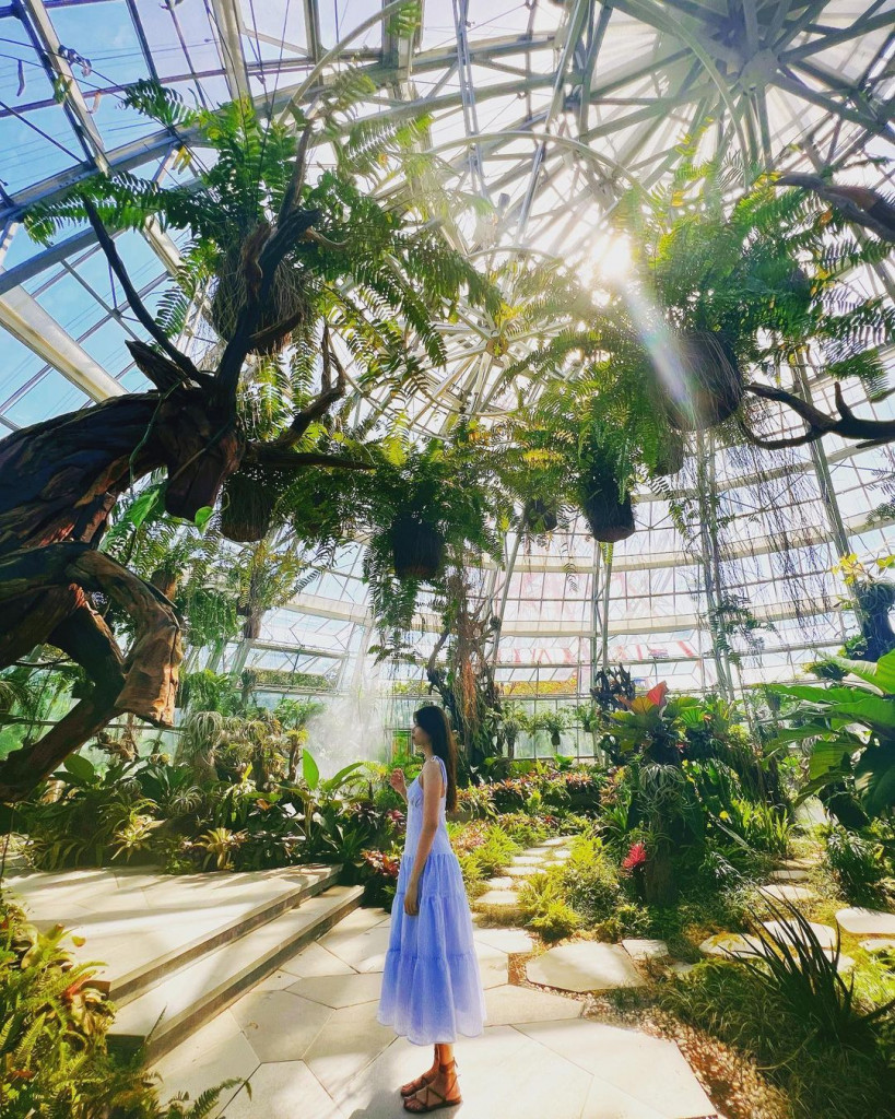 Sky Garden. Ảnh: @lily091003
