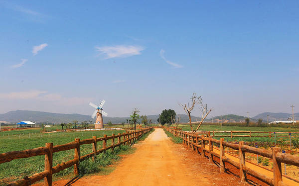 Đồng cỏ xanh tại Vinamilk Organic Milk Farm Đà Lạt