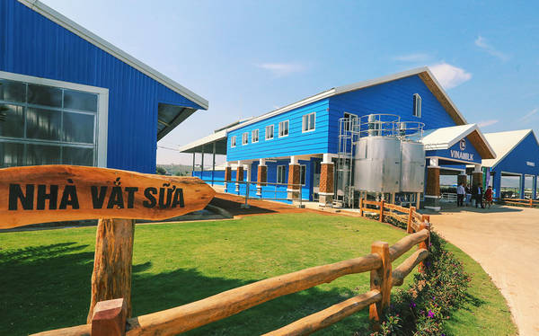Vinamilk Organic Milk Farm Đà Lạt