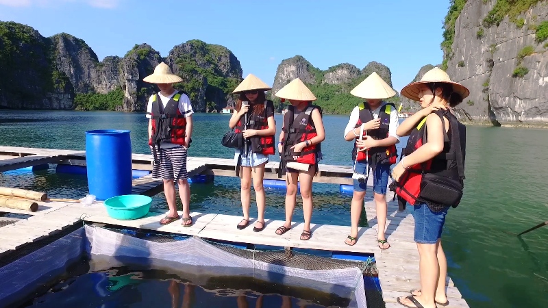 Du khách tham quan nhà bè nuôi trồng thủy sản vịnh Hạ Long