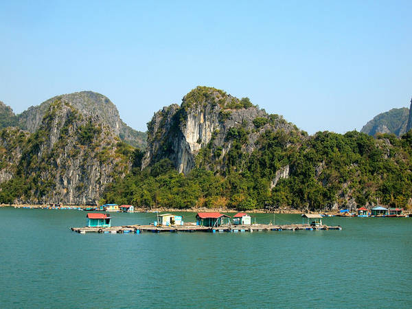 Làng nổi trên Vịnh Hạ Long