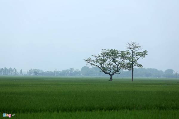Hướng dẫn đường đi đến khu du lịch sinh thái hồ Tuy Lai Hà Nội